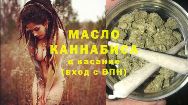 прущий лед Дмитриев