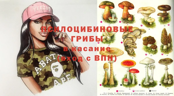 прущий лед Дмитриев