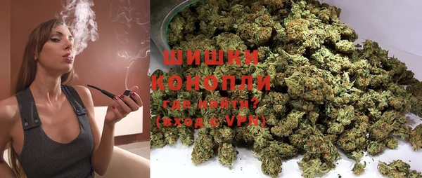 тгк Елизово
