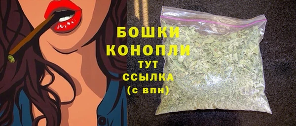 мет Дмитров