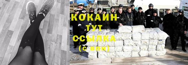 прущий лед Дмитриев
